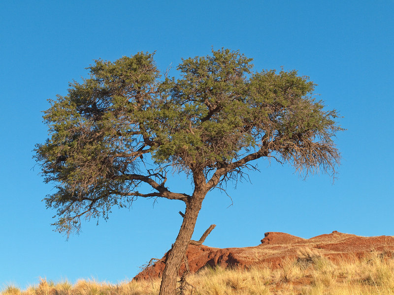 Namib Desert Lodge